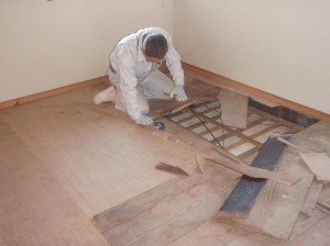 P4175006
