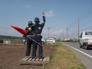P5060012