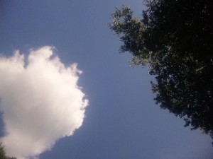 100720_144254