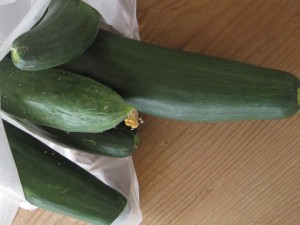 2010年7月31日 021