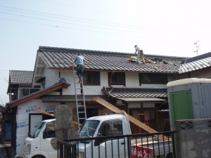 P7080019
