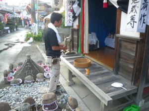 IMGP2956