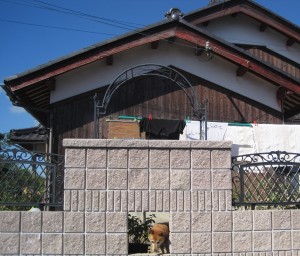 2010年9月4日 022