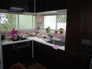 IMGP2938