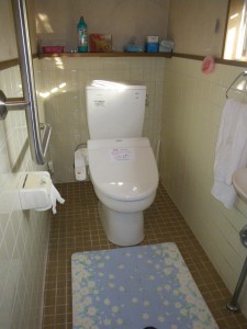 IMGP3166