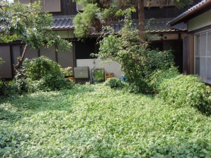 P8250010