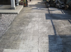 2010年10月8日 001