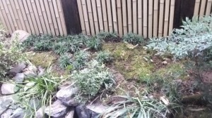 DSCF0423