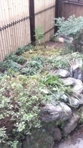 DSCF0426