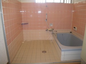 IMGP3262