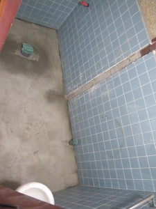 IMGP3551