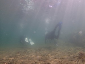 scuba (1)