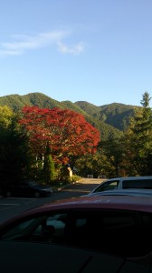 DSC_0370[1]